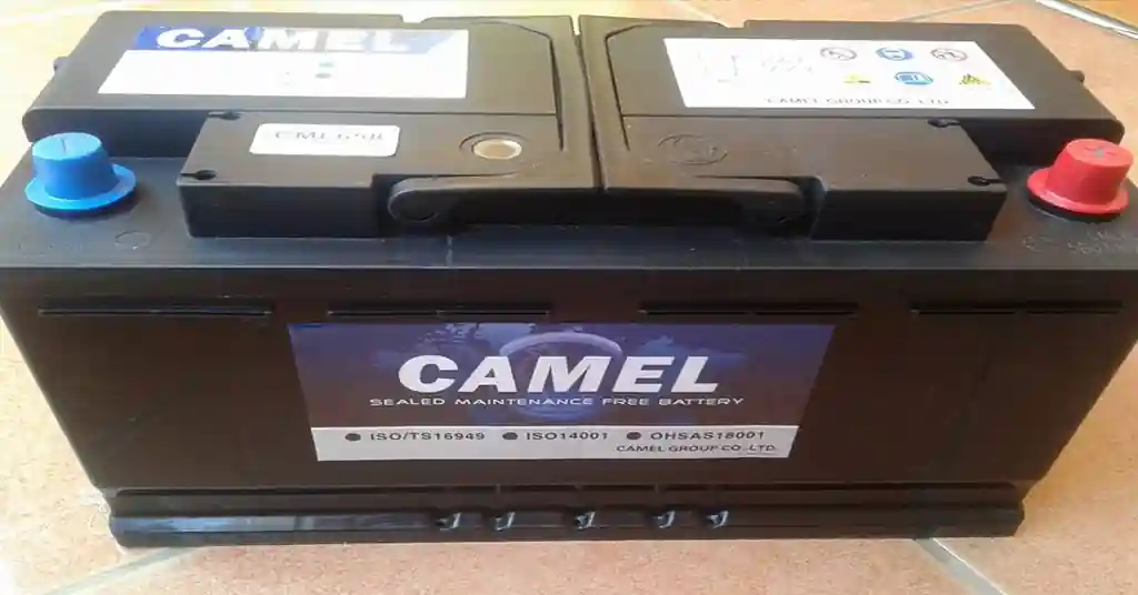 Camel