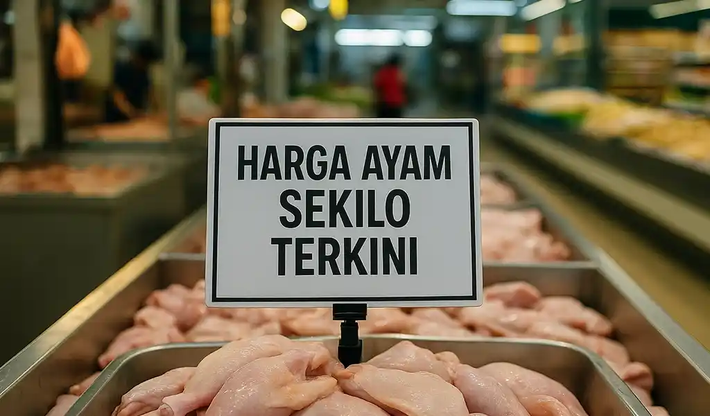 Harga Ayam Sekilo Terkini di Malaysia