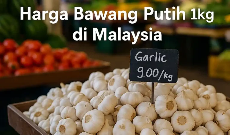 Harga Bawang Putih 1kg di Malaysia Terkini