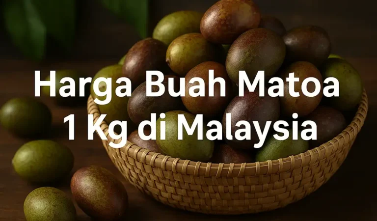 Harga Buah Matoa 1 Kg Semasa di Malaysia
