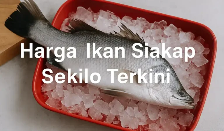 Harga Ikan Siakap Sekilo Terkini di Malaysia