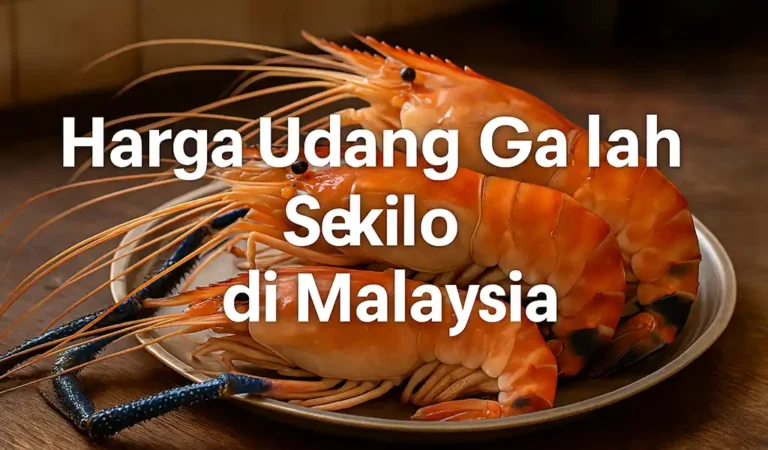 Harga Udang Galah Sekilo Terkini di Malaysia